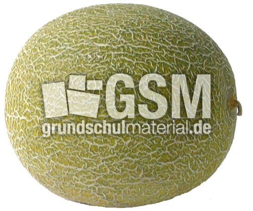 Melone-ganz2.jpg